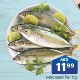 City Retail Supermarket Mackerel Per Kg offer