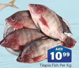 City Retail Supermarket Tilapia Fish Per Kg offer
