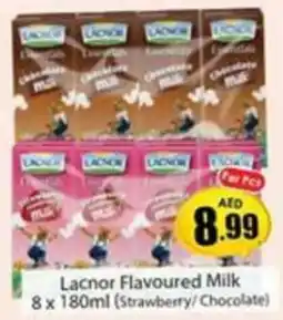 Amber Lacnor Flavoured Milk 8 x 180ml (Strawberry/Chocolate) offer
