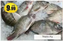 Amber Tilapia /kg offer