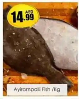 Amber Ayirampalli Fish /Kg offer