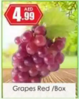 Amber Grapes Red/Box offer