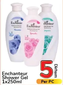 Day To Day Enchanteur Shower Gel 1x250ml offer