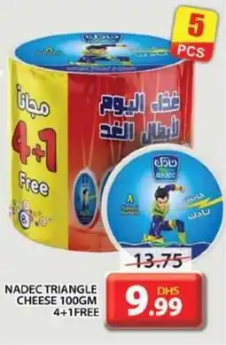 Grand Hyper Market NADEC TRIANGLE CHEESE 100GM offer