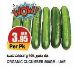 Almaya supermarket ORGANIC CUCUMBER 500GM offer
