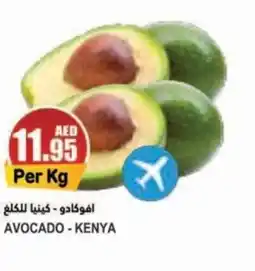 Almaya supermarket AVOCADO offer