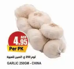 Almaya supermarket GARLIC 250GM offer