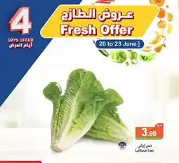 Aswaq Ramez Lettuce offer