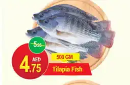 New W Mart Tilapia Fish offer