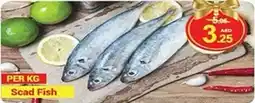 New W Mart Scad Fish offer