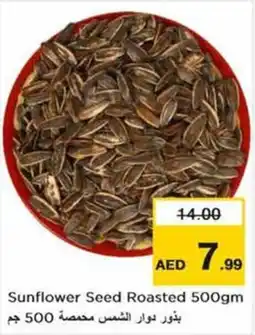 Nesto Sunflower Seed Roasted 500gm offer