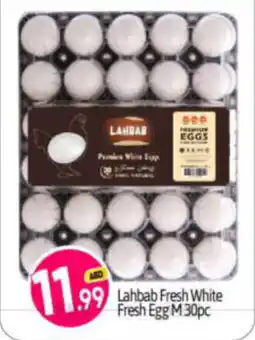 Bigmart Lahbab Fresh White Fresh Egg M 30pc offer