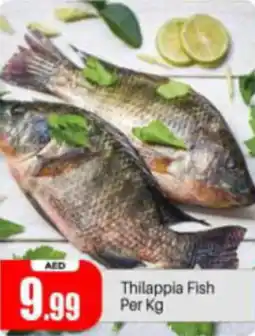 Bigmart Thilappia Fish per kg offer
