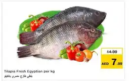 Nesto Tilapia Fresh Egyptian per kg offer