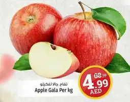 Kenz Hypermarket Apple Gala Per kg offer
