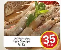 Kenz Hypermarket Fresh Shrimps Per Kg offer