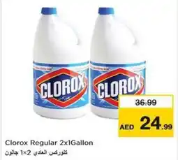 Nesto Clorox Regular 2x1Gallon offer