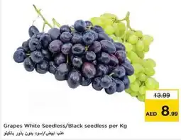 Nesto Grapes White Seedless Black seedless per Kg offer