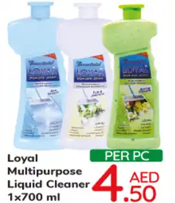 Day To Day Loyal Multipurpose Liquid Cleaner 1x700 ml offer