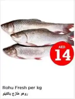 Last Chance Rohu Fresh per kg offer