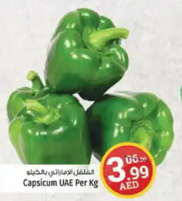 Kenz Hypermarket Capsicum Per Kg offer