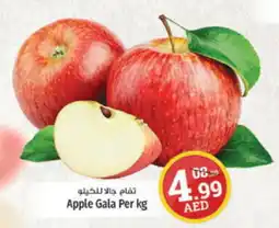 Kenz Hypermarket Apple Gala per kg offer
