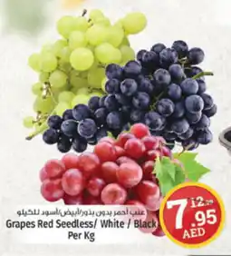 Kenz Hypermarket Grapes Red Seedless/ White / Black Per Kg offer