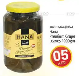 Kenz Hypermarket Hana Premium Grape Leaves 1000gm offer