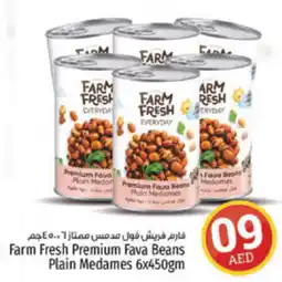 Kenz Hypermarket Farm Fresh Premium Fava Beans Plain Medames 6x450gm offer