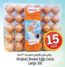 Kenz Hypermarket Khaleej Brown Eggs Extra Large 30s offer
