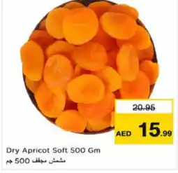 Nesto Dry Apricot Soft 500 Gm offer
