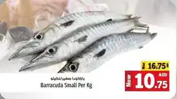 Kenz Hypermarket Barracuda Small Per Kg offer