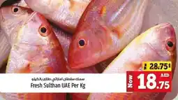 Kenz Hypermarket Fresh Sulthan Per Kg offer
