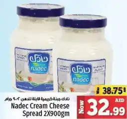 Kenz Hypermarket Nadec Cream Cheese Spread 2 x 900gm offer