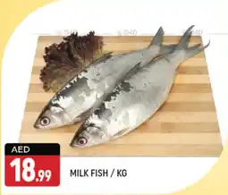 Shaklan MILK FISH / KG offer