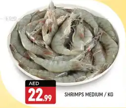 Shaklan SHRIMPS MEDIUM / KG offer