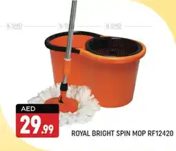 Shaklan ROYAL BRIGHT SPIN MOP RF12420 offer