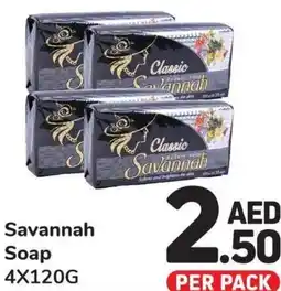 Day To Day Savannah Soap 4x120g offer
