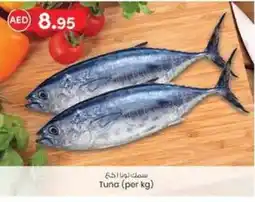 KM Trading Tuna (per kg) offer