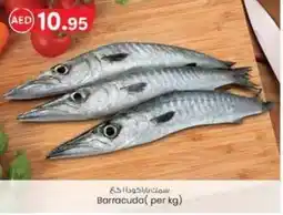 KM Trading Barracuda( per kg) offer