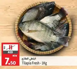 Safari Hypermarket Tilapia Fresh-1Kg offer