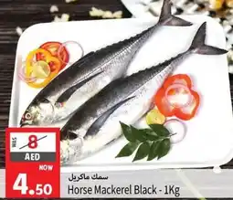 Safari Hypermarket Horse Mackerel Black - 1Kg offer