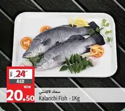 Safari Hypermarket Kalanchi Fish -1Kg offer