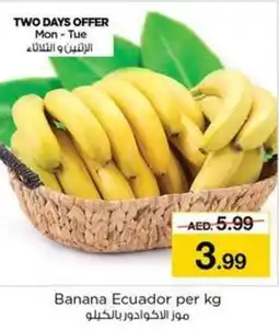 Nesto Banana Ecuador per kg offer
