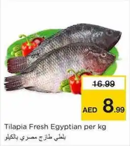 Nesto Tilapia Fresh per kg offer