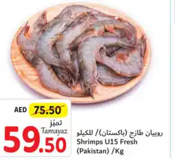 Union Coop Shrimps U15 Fresh offer