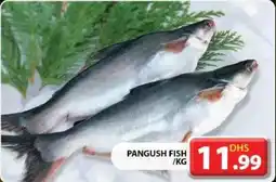 Grand Hyper Market PANGUSH FISH / KG offer