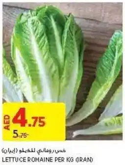 Aswaaq LETTUCE ROMAINE PER KG offer