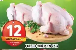 FRESH CHICKEN / KG