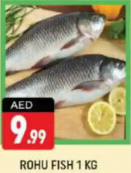 Shaklan ROHU FISH 1 KG offer